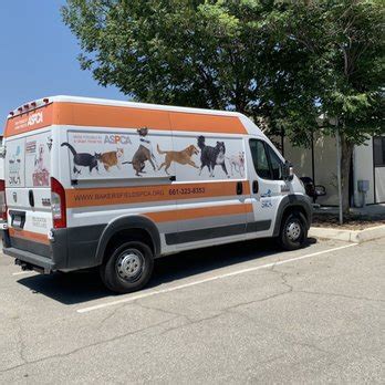 bakersfield dog shelter|mt vernon animal shelter bakersfield.